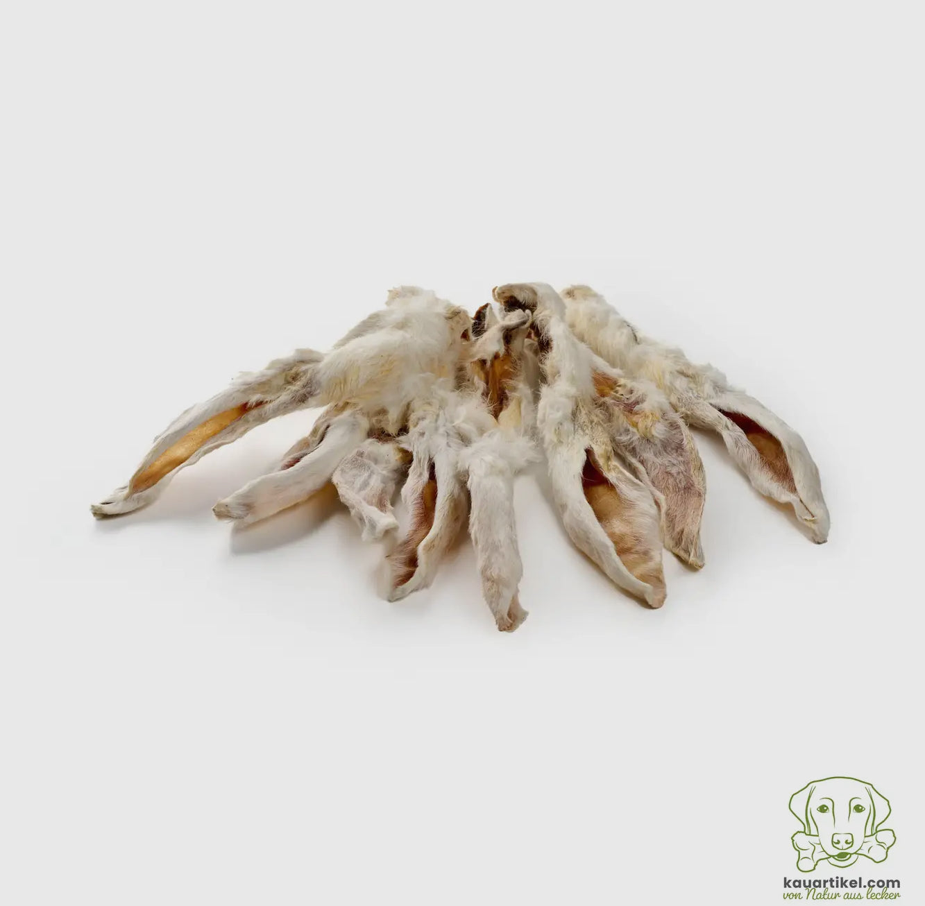 Oreilles de lapin avec poils
