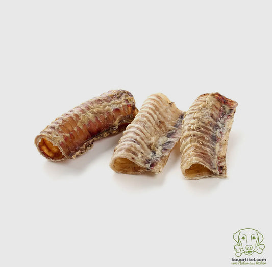Trachées de bœuf courtes